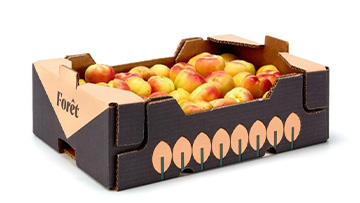 Double-Wall-Box-for-fruits-360x203-1
