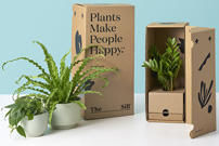 Plant-Gift-Box-1