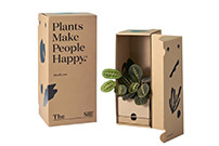 Plant-Gift-Box